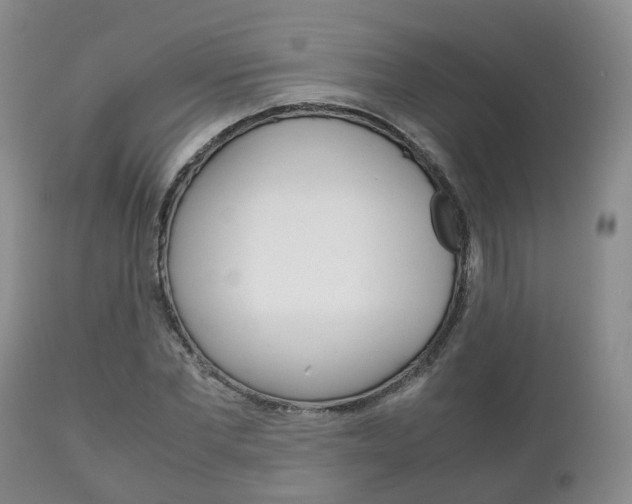 X0000111230877200907021021