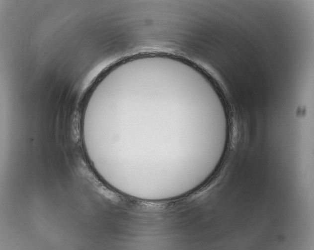 X0000111230878200907021021