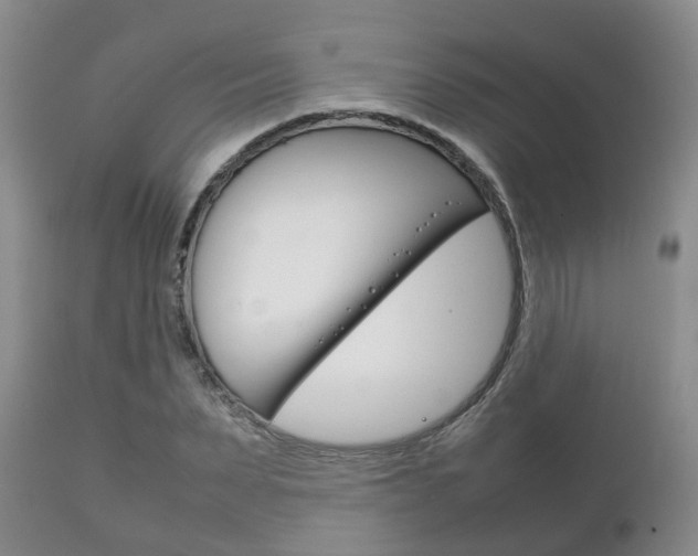 X0000111230879200907021021