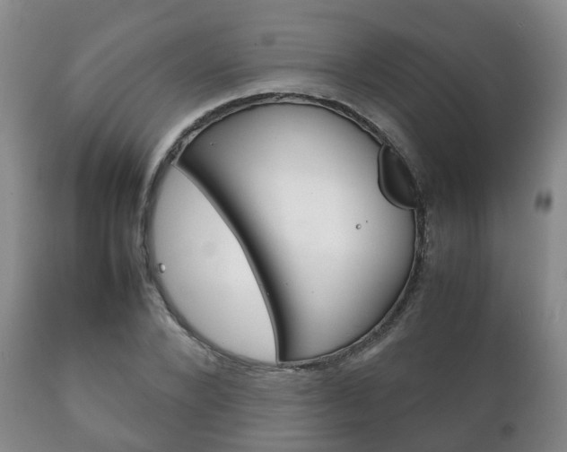 X0000111230880200907021021