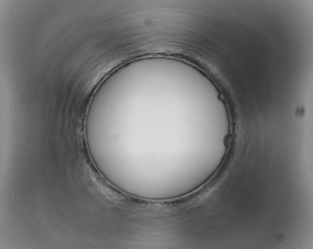 X0000111230881200907021021