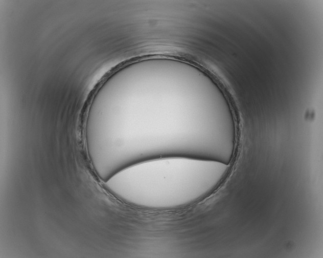 X0000111230883200907021021