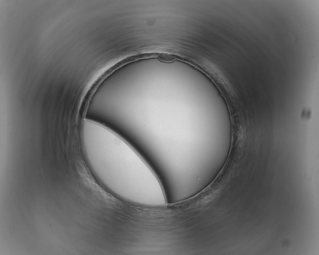 X0000111230884200907021021