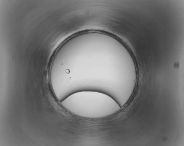 X0000111230887200907021021
