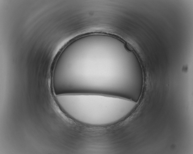 X0000111230888200907021021