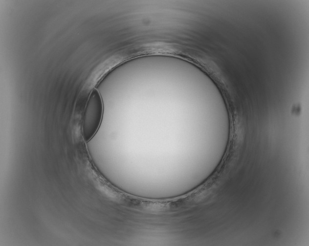 X0000111230889200907021021