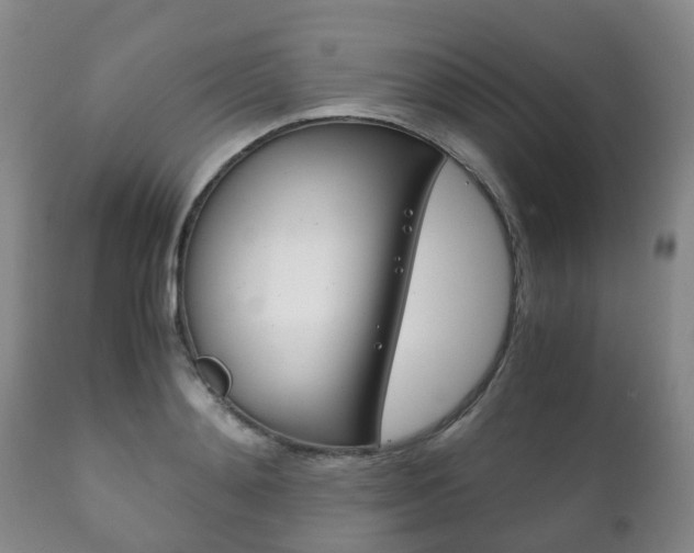 X0000111230892200907021021