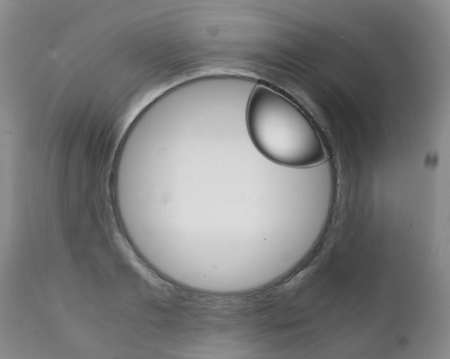 X0000111230893200907021021