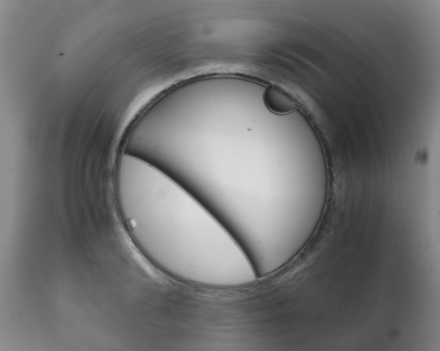 X0000111230894200907021021