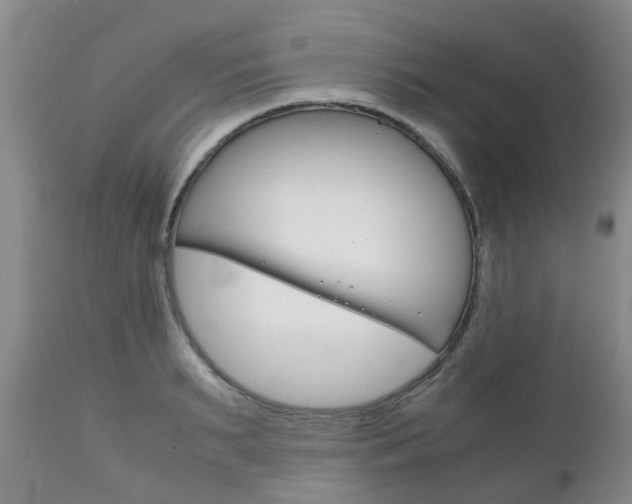 X0000111230895200907021021