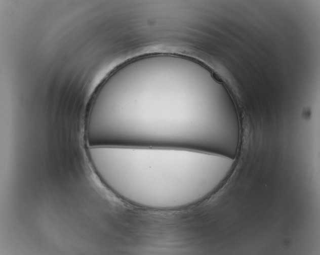X0000111230896200907021021