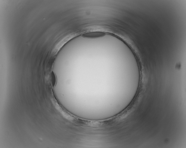 X0000111230897200907021021