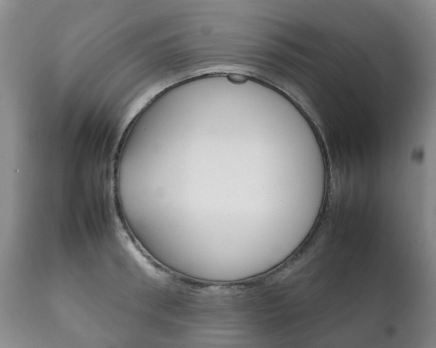 X0000111230898200907021021