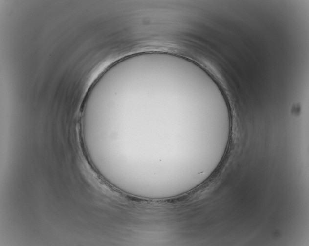 X0000111230899200907021021