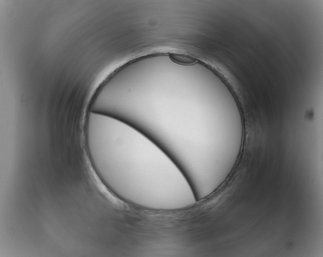 X0000111230902200907021021