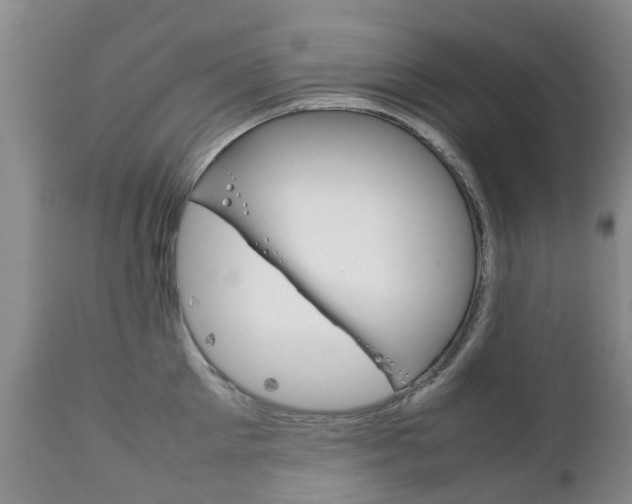 X0000111230905200907021021