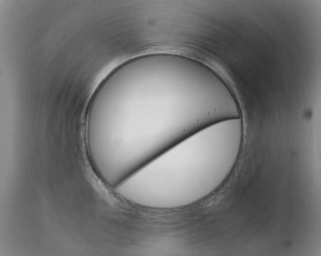 X0000111230907200907021020