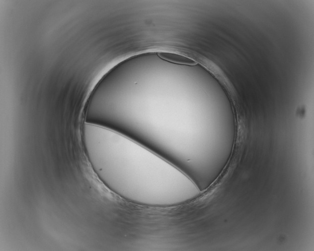 X0000111230908200907021020