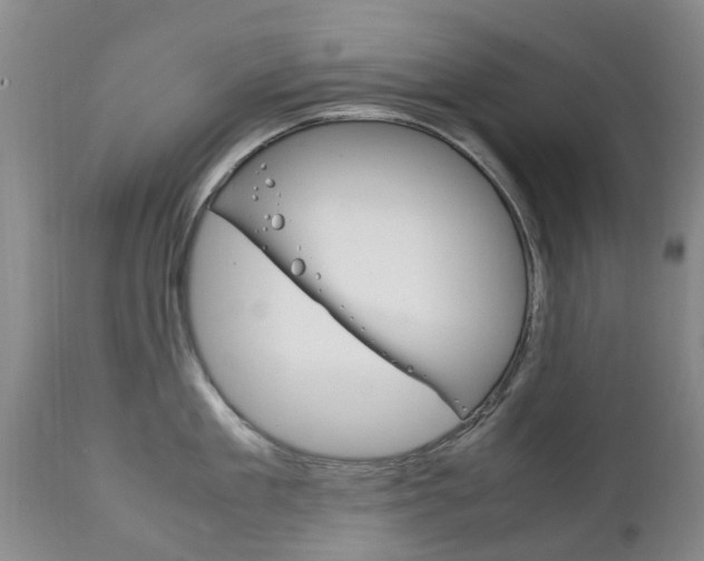 X0000111230909200907021020