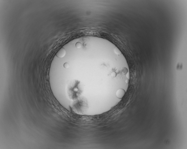 X0000111230913200907021019