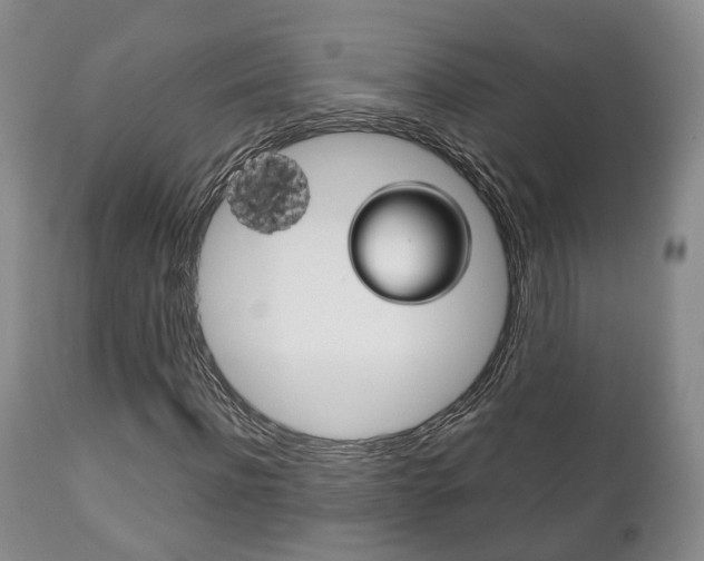 X0000111230916200907021019
