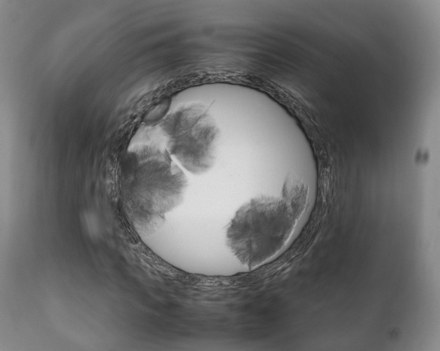 X0000111230917200907021019
