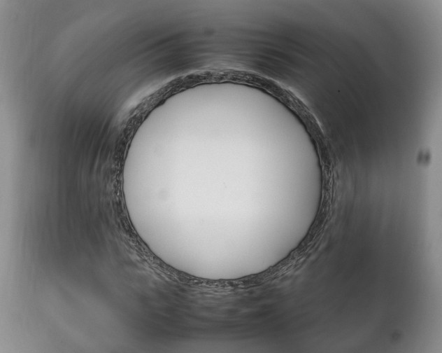 X0000111230919200907021019