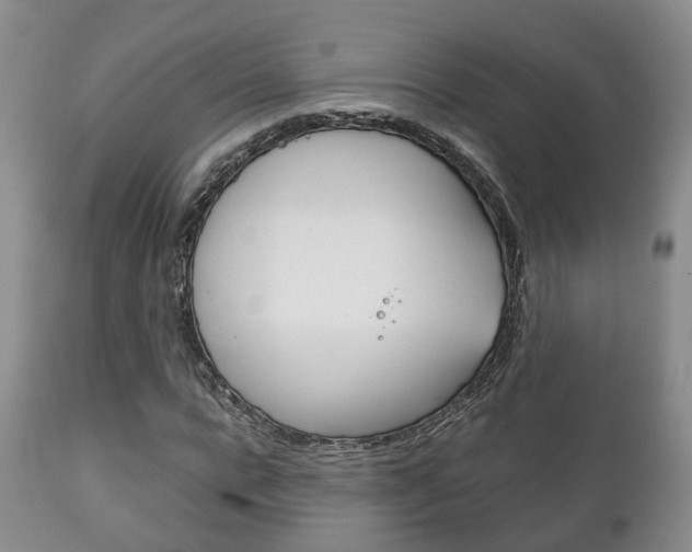 X0000111230920200907021020