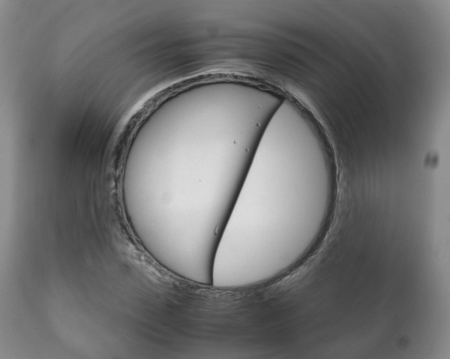 X0000111230923200907021020