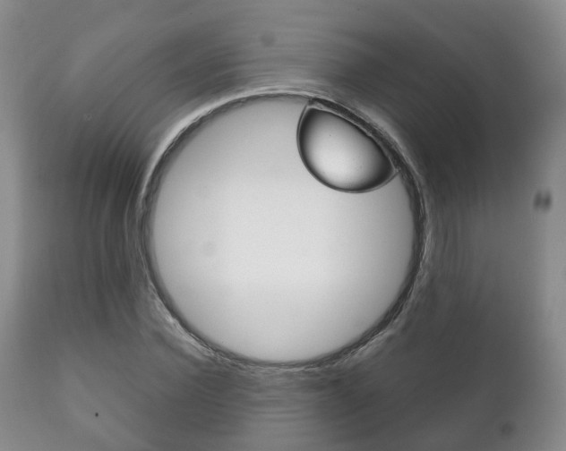 X0000111230924200907021020