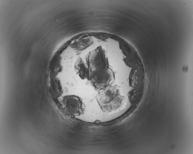 X0000111230925200907021020