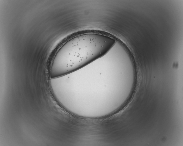 X0000111230926200907021020