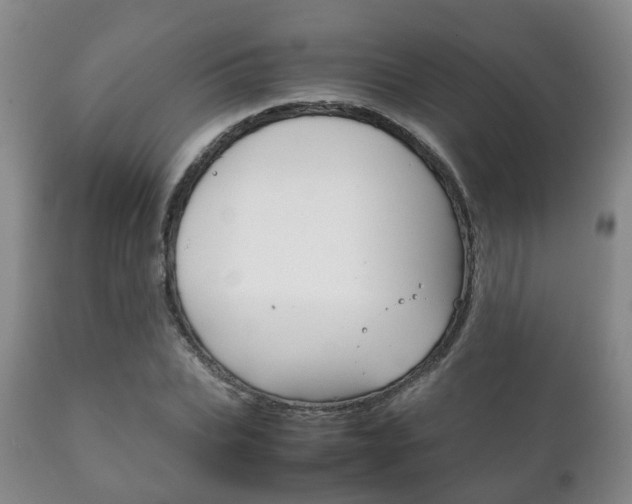 X0000111230927200907021020