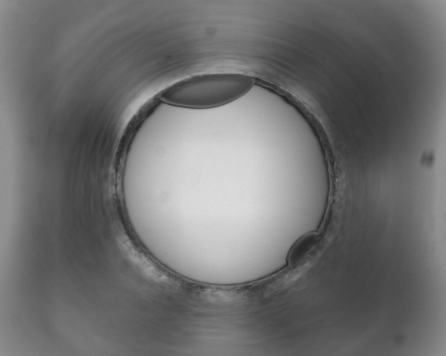 X0000111230928200907021020