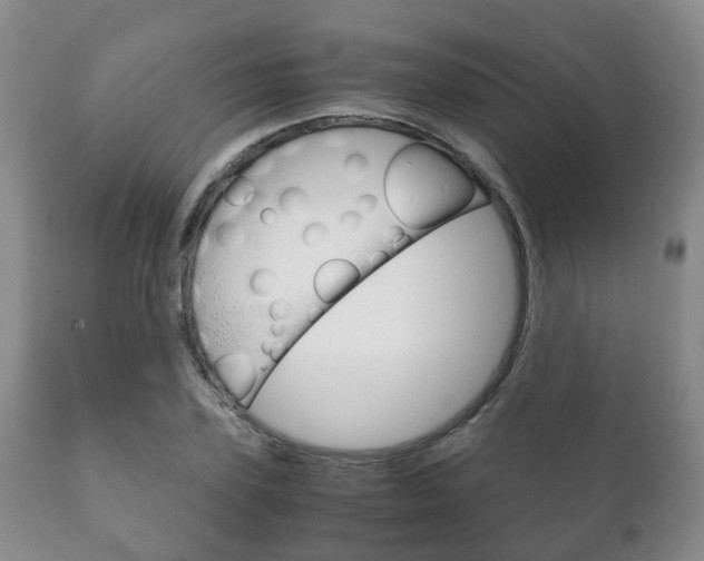 X0000111230931200907021020