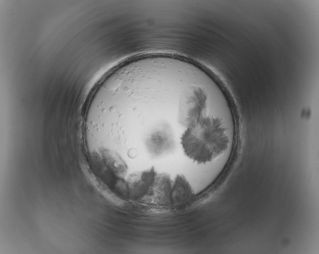 X0000111230933200907021020