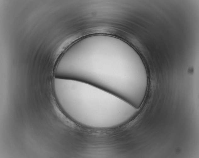 X0000111230938200907021020