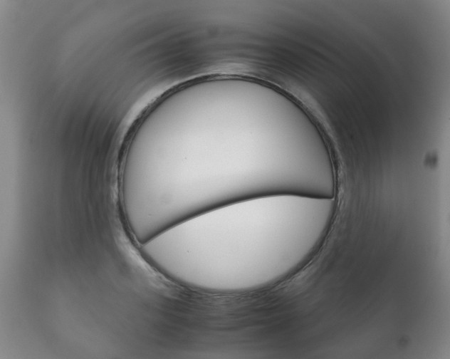 X0000111230939200907021020
