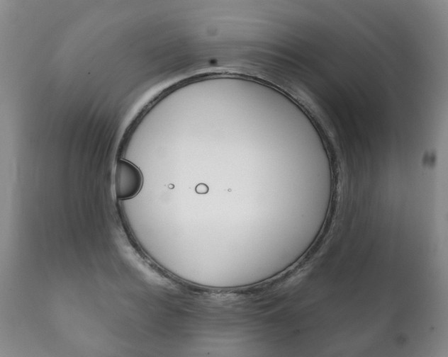 X0000111230940200907021020