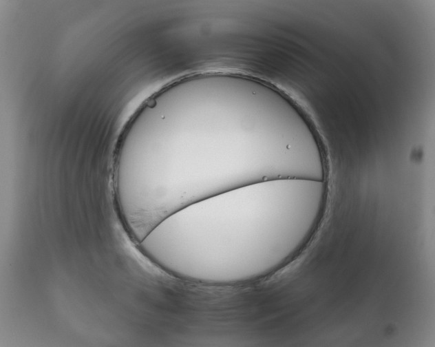 X0000111230941200907021020