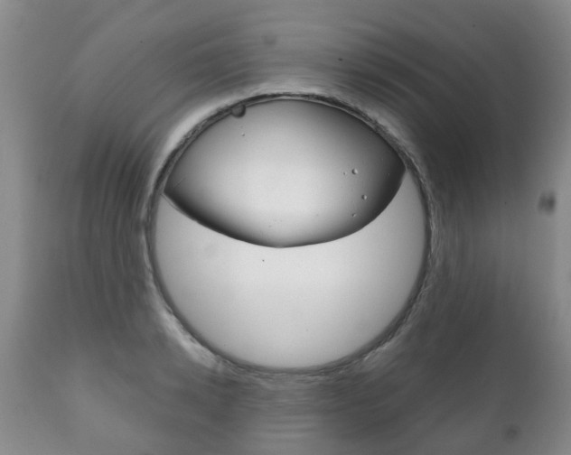 X0000111230942200907021020