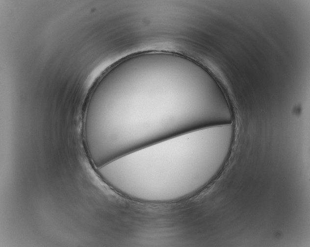 X0000111230944200907021020