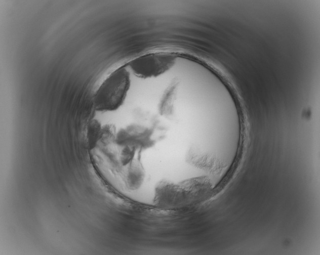 X0000111230945200907021020