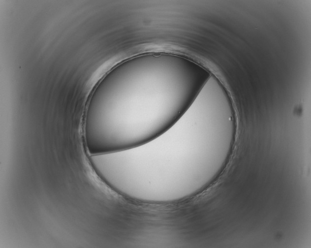 X0000111230946200907021020