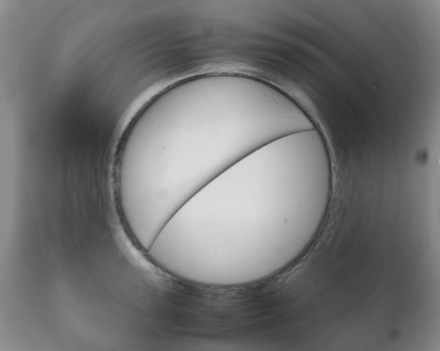 X0000111230947200907021020