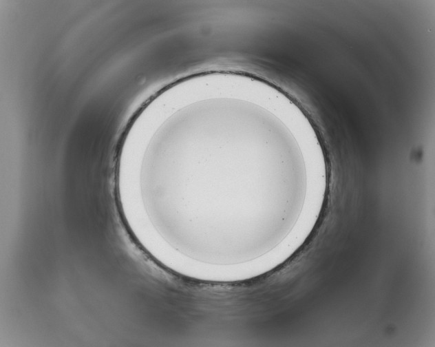 X0000111230950200907021020