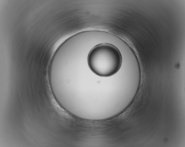 X0000111230952200907021020
