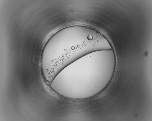 X0000111230954200907021020