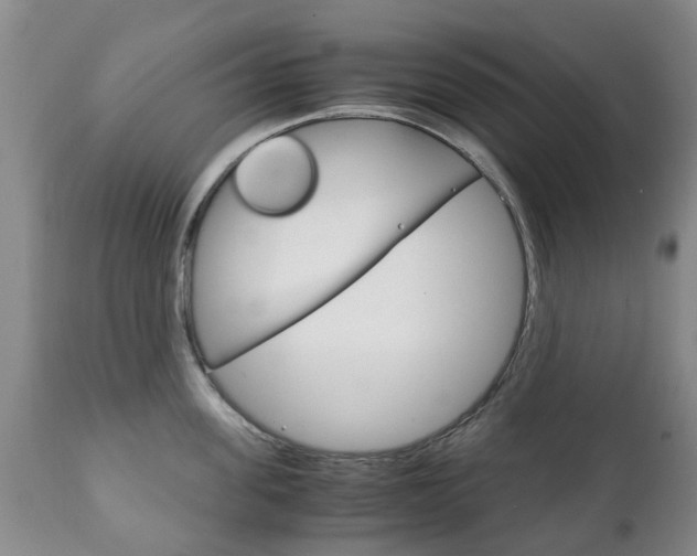 X0000111230955200907021020