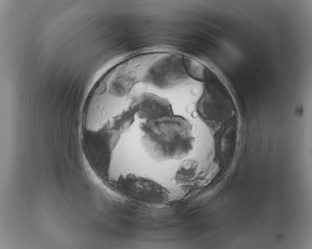 X0000111230957200907021020